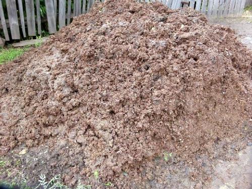 Удобрение для клубники при посадке. Навигация по записям