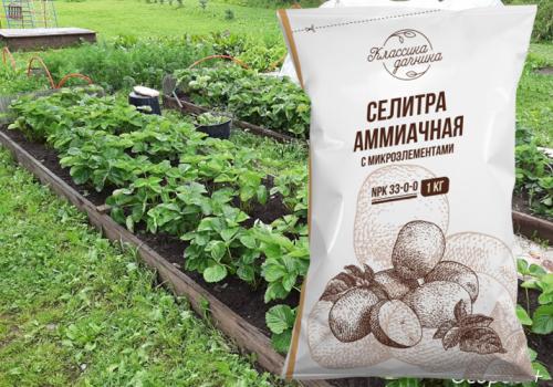 Комплексное удобрение для клубники весной. Минеральные удобрения для клубники