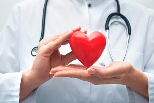 Пить Чеснок, как таблетку. Какую пользу может принести организму экстракт чеснока? А также что такое ферментированный и состаренный (Aged) Чеснок? Прием добавки в капсулах и жидком виде