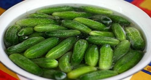 Как сделать маринад для огурцов, чтобы он был похож на магазинный. Огурцы маринованные «Как магазинные»