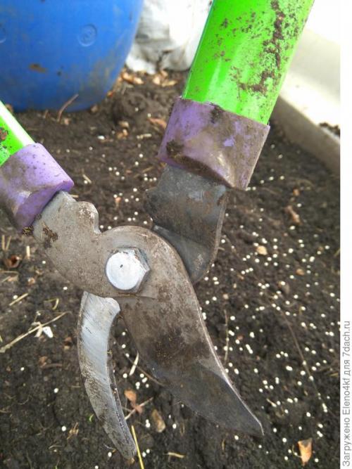 Чем обрезать малину: инструменты и подготовка. Сучкорез прямого реза PALISAD. Обрезка малины. Тест на скорость