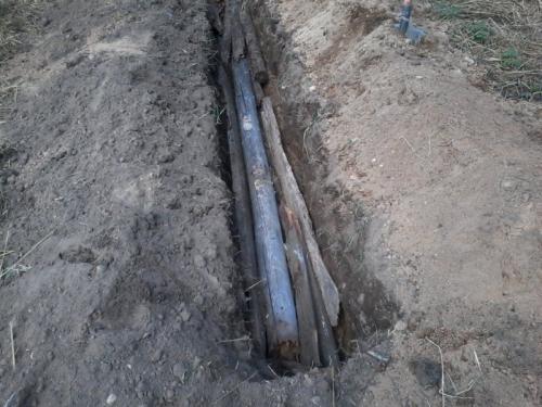 Траншейный способ посадки малины: секреты успешного выращивания 02