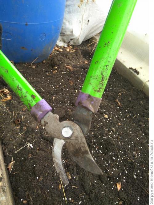 Чем обрезать малину: инструменты и подготовка. Сучкорез прямого реза PALISAD. Обрезка малины. Тест на скорость