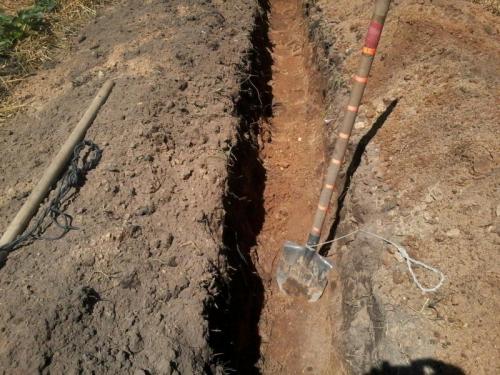 Траншейный способ посадки малины: секреты успешного выращивания 01