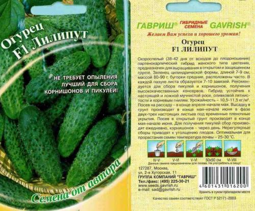 Сорта огурцов, устойчивые к пероноспорозу.