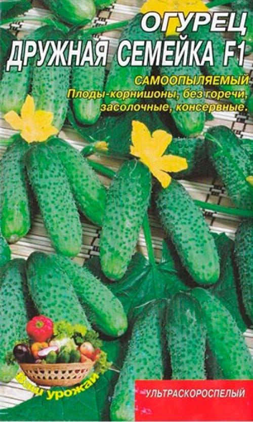 Сорта огурцов, устойчивые к пероноспорозу.