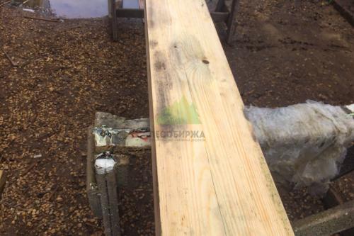 Черная плесень на досках. Как убрать черную плесень с досок 15