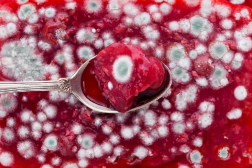 Смертельная плесень. Когда плесень — это яд? Правила безопасности