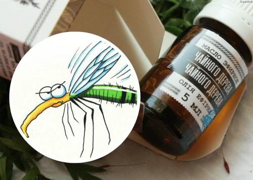 Как убрать плесень с дсп. Как вывести плесень с мебели