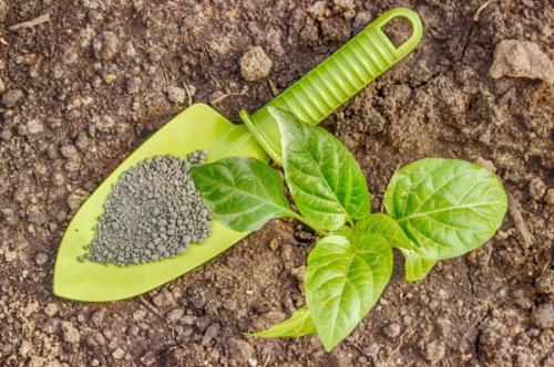 Столовая ложка удобрений сколько грамм. 01 Столовая ложка удобрений сколько грамм. 01