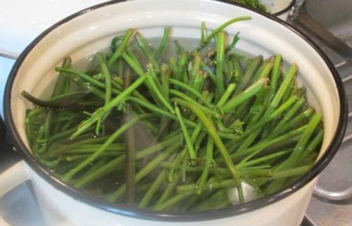 Как приготовить папоротник замороженный. Как приготовить папоротник орляк в домашних условиях