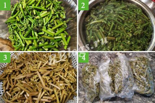 Папоротник орляк заготовка на зиму. Всё о папоротнике орляк: чем полезен, где найти и как правильно приготовить