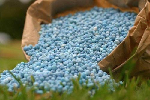 Как узнать, что яблони нужно удобрять и какие удобрения использовать. Удобрения для подкормки яблони