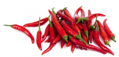 Биопрепараты от вредителей сада. Бойцы невидимого фронта: биопрепараты для сада и огорода