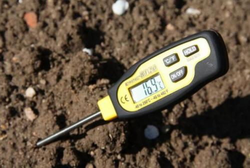 Какие овощи сажают весной. Когда сажать и сеять семена и рассаду в мае