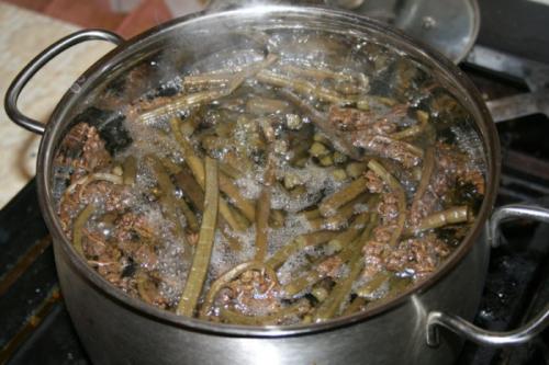 Папоротник-орляк заготовка на зиму. Заморозка папоротника