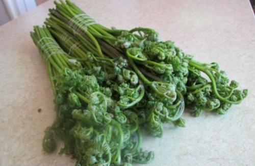 Как приготовить папоротник замороженный. Как приготовить папоротник-орляк в домашних условиях