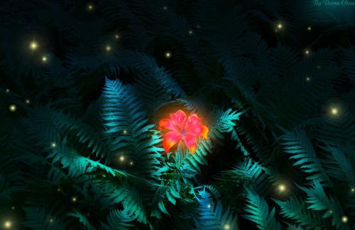 Папоротник комнатный приметы. Папоротник комнатный народные приметы и суеверия