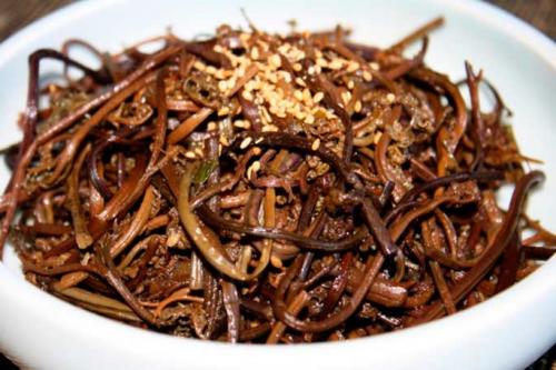 Папоротник комнатный польза и вред. Папортник орляк, оригинальные и экзотические рецепты (описание и фотографии)