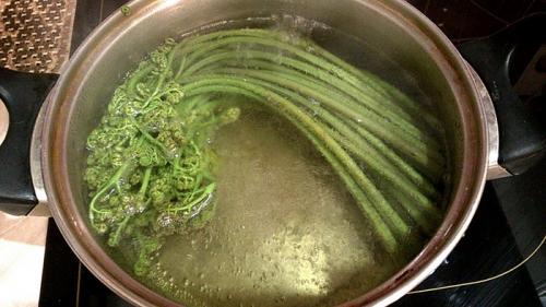 Что делать с папоротником после сбора. Кулинарный пост: как я готовил папоротник-орляк