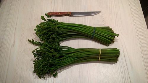 Что делать с папоротником после сбора. Кулинарный пост: как я готовил папоротник-орляк