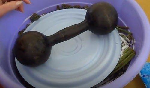 Засолка папоротника по госту. Как солить папоротник-орляк сухим способом (в пучках)