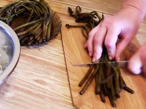 Как готовить замороженный папоротник. Папоротник орляк — рецепты приготовления и полезные свойства