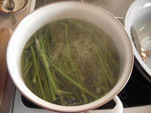 Как готовят папоротник на сахалине. Как я готовлю папоротник