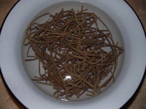 Как готовят папоротник на сахалине. Как я готовлю папоротник