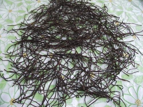 Как готовят папоротник на сахалине. Как я готовлю папоротник