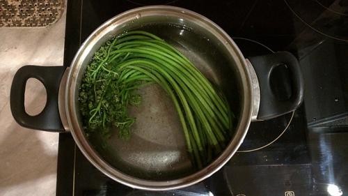 Сколько вымачивать свежий папоротник. Кулинарный пост: как я готовил папоротник-орляк