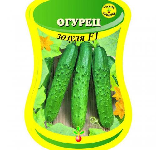 Самые урожайные сорта огурцов для открытого грунта то. Урожайные сорта огурцов — рейтинг 2023 года