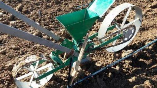 Когда и какой сельхозтехникой убирать морковь. Традиционный сбор моркови вручную 06