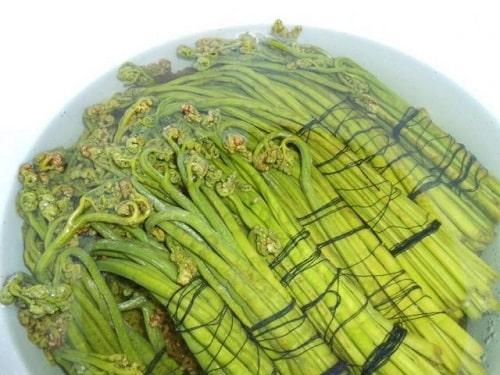 Рецепт заготовки папоротника на зиму. Как засолить папоротник в домашних условиях — рецепты в банках, по ГОСТу, в рассоле