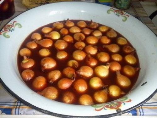 Что посадить в сентябре. Что можно сажать в сентябре