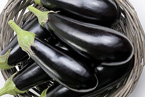 Баклажаны выращивание. Выращивание баклажанов: выбор сорта, выращивание, уход