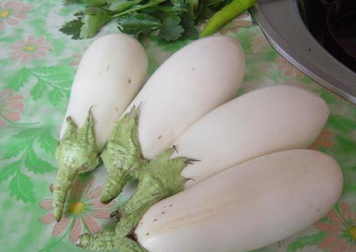 Баклажаны выращивание. Выращивание баклажанов: выбор сорта, выращивание, уход