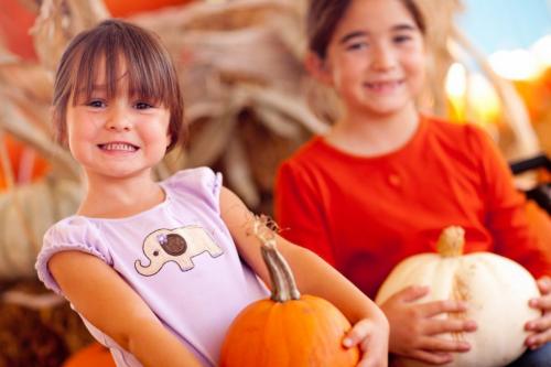 Много тыкв. Найти много больших тыкв 07