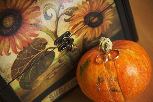 Много тыкв. Найти много больших тыкв 06