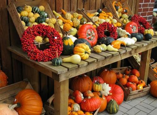 Много тыкв. Найти много больших тыкв 03