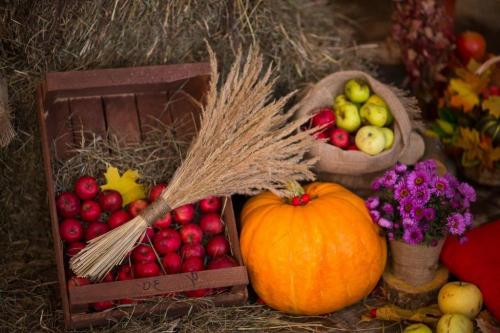 Много тыкв. Найти много больших тыкв 10