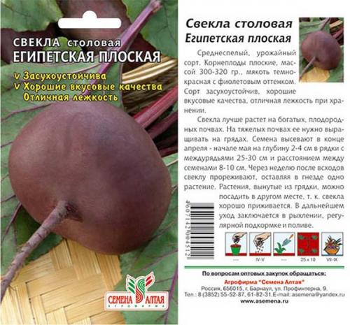 Когда убирать свеклу. Когда убирать урожай свеклы: оптимальные сроки и признаки зрелости овоща