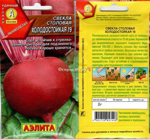 Когда убирать свеклу. Когда убирать урожай свеклы: оптимальные сроки и признаки зрелости овоща