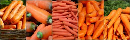 Как хранить морковь в квартире. 8 способов сохранения свежей моркови