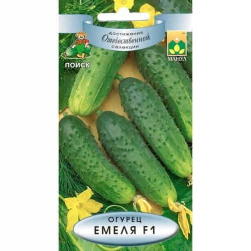 Лучшие сорта огурцов для теплиц Подмосковья. Огурцы для Подмосковья — 42 лучших сорта 2023 года для теплиц и открытого грунта