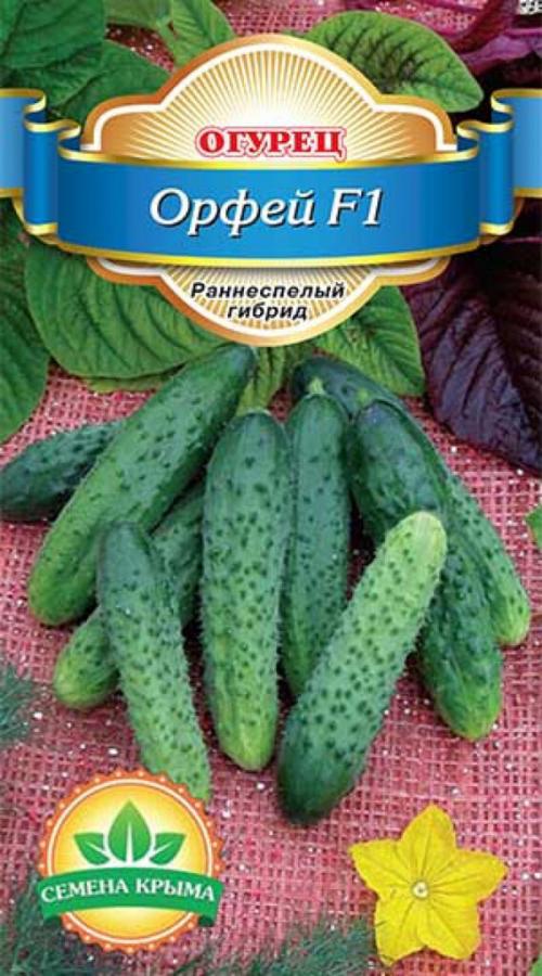 Лучшие сорта огурцов 2022. ТОП-50 сортов огурцов для открытого грунта 2023 года — фото с описанием