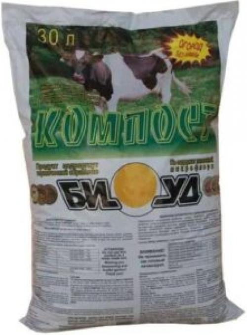 Чем подкормить жимолость весной. Подкормка жимолости органическими удобрениями весной и осенью