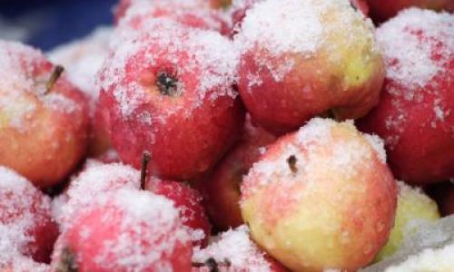 Можно ли хранить ЯБЛОКИ в холодильнике. Как правильно сохранить фрукт на зиму?