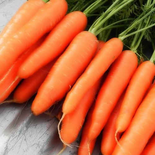 В какое время года растет морковь. Выращивание моркови в открытом грунте: правила и рекомендации