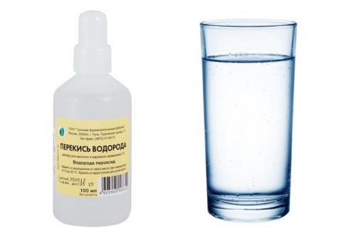 Замачивание семян перца. Как правильно замачивать семена перца в перекиси водорода